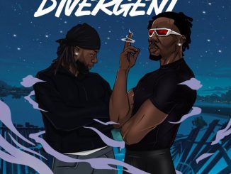 PaBrymo Monaky DIVERGENT