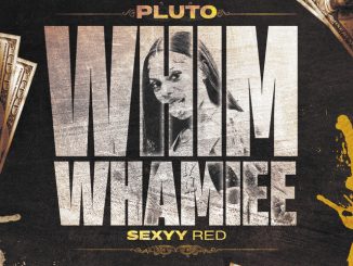 PLUTO WHIM WHAMIEE ft. Sexyy Red Remix