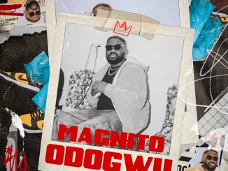 Magnito Odogwu